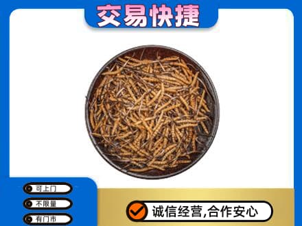 渭南市华州高价回收散虫草